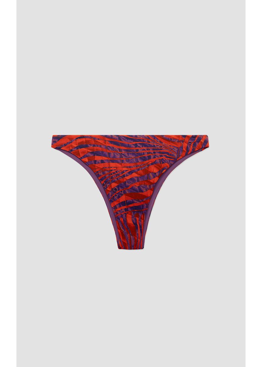 Amira Brazilian Bikini Slip MINERVA - Image 5